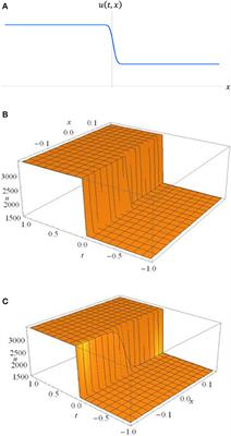 Adoption of the Transport and Burgers' Equations in Modeling Neurological Shock-Waves in the Human Brain Due to Improvised Explosive Devices (IEDs)